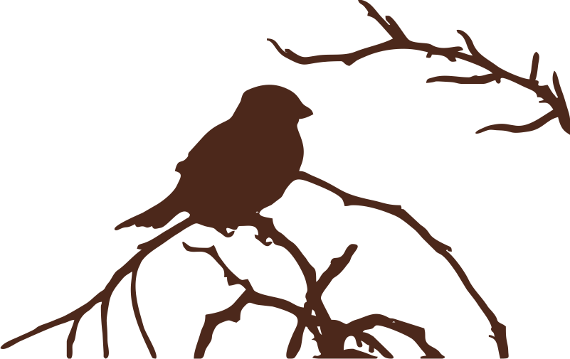 Bird section
