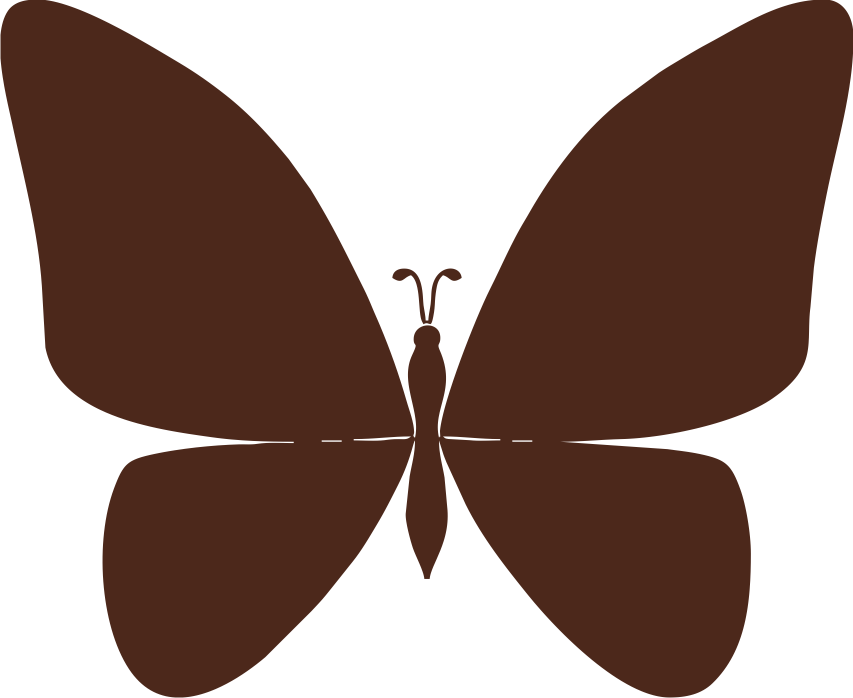 Butterfly 1