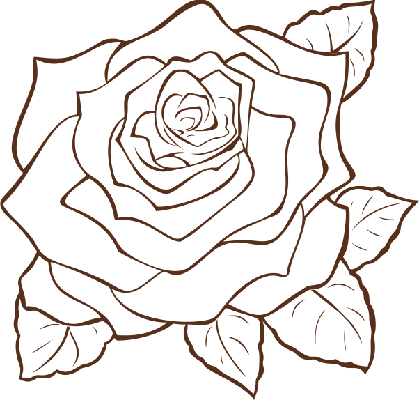Rose 6