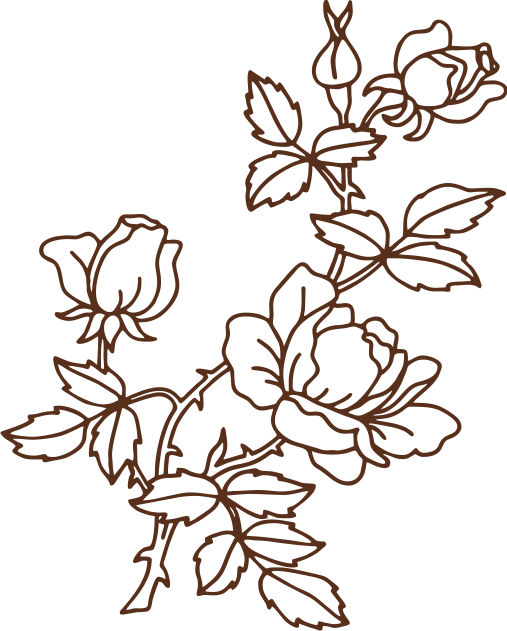 Rose 7